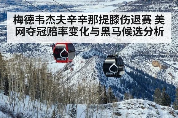 梅德韦杰夫辛辛那提膝伤退赛 美网夺冠赔率变化与黑马候选分析